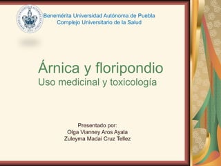 Árnica y floripondio
Uso medicinal y toxicología
Presentado por:
Olga Vianney Aros Ayala
Zuleyma Madai Cruz Tellez
Benemérita Universidad Autónoma de Puebla
Complejo Universitario de la Salud
 