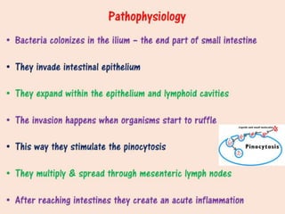 Salmonellosis 