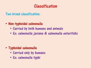 Salmonellosis 