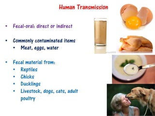Salmonellosis 