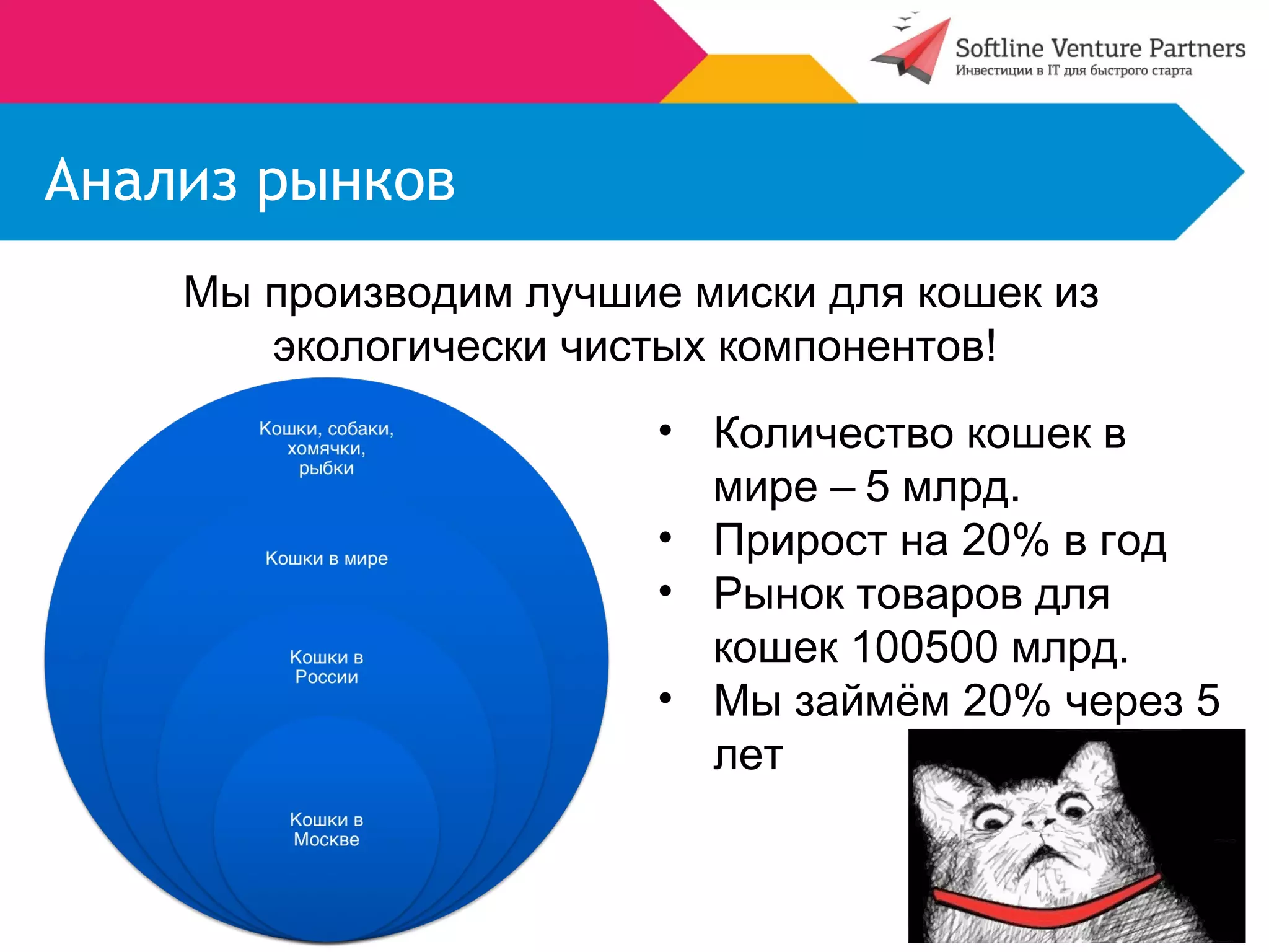 Анализ рынков 
Мы производим лучшие миски для кошек из 
экологически чистых компонентов! 
• Количество кошек в 
мире – 5 млрд. 
• Прирост на 20% в год 
• Рынок товаров для 
кошек 100500 млрд. 
• Мы займём 20% через 5 
лет 
 