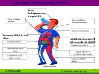 SU icmek neden bu kadar önemli?
                           Beyin
                           fonksiyonlarımız
                           için gereklidir
    Vücut sıcaklığını                           Besin ve oksijeni
    düzenler                                    hücrelerimize taşır



                                               Nefesimizi nemlendirir

Kanımızın %83 ü SU dan
oluşur                                         Metobolizmanın düzenli
   Toksinleri temizler                        çalismasında çok etkilidir
                                               İç Organlarımızı korur
   Kemiklerimizin %22 si
          SU dur                                    Aldığımız gıdaların
                                                  sindirimine yardımcıdır
   Eklemlerimizi korur
     (eklem sıvıları)                          Kaslarımızın %75 i
                                               SU dur.
 