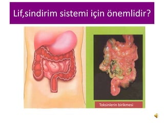 Lif,sindirim sistemi için önemlidir?




                      Toksinlerin birikmesi
 