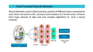 Neural Networks used in Deep Learning, consists of different layers connected to
each other and work on the structure and functions of a human brain. It learns
from huge volumes of data and uses complex algorithms to train a neural
network.
Feed Forward Neural Network
 
