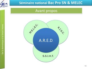 Eléments de constatSéminaire national Bac Pro SN & MELEC
Avant propos
A.R.E.D.
S.S.I.H.T.
46
 