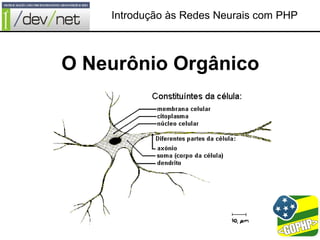Introdução às Redes Neurais com PHP