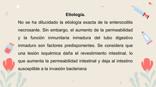 Etiología.
No se ha dilucidado la etiología exacta de la enterocolitis
necrosante. Sin embargo, el aumento de la permeabilidad
y la función inmunitaria inmadura del tubo digestivo
inmaduro son factores predisponentes. Se considera que
una lesión isquémica daña el revestimiento intestinal, lo
que aumenta la permeabilidad intestinal y deja al intestino
susceptible a la invasión bacteriana
 