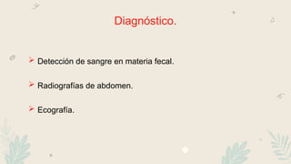 Diagnóstico.
 Detección de sangre en materia fecal.
 Radiografías de abdomen.
 Ecografía.
 
