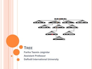 TREE
Fariha Tasmin Jaigirdar
Assistant Professor
Daffodil International University
 