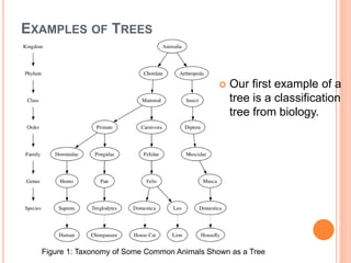EXAMPLES OF TREES
 Our first example of a
tree is a classification
tree from biology.
Figure 1: Taxonomy of Some Common Animals Shown as a Tree
 