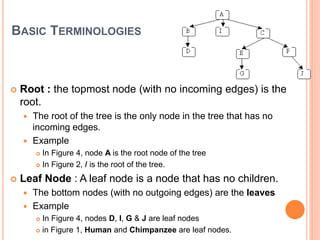 BASIC TERMINOLOGIES
 Root : the topmost node (with no incoming edges) is the
root.
 The root of the tree is the only node in the tree that has no
incoming edges.
 Example
 In Figure 4, node A is the root node of the tree
 In Figure 2, / is the root of the tree.
 Leaf Node : A leaf node is a node that has no children.
 The bottom nodes (with no outgoing edges) are the leaves
 Example
 In Figure 4, nodes D, I, G & J are leaf nodes
 in Figure 1, Human and Chimpanzee are leaf nodes.
 