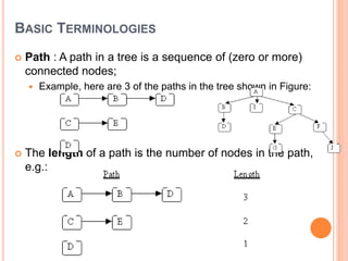 BASIC TERMINOLOGIES
 Path : A path in a tree is a sequence of (zero or more)
connected nodes;
 Example, here are 3 of the paths in the tree shown in Figure:
 The length of a path is the number of nodes in the path,
e.g.:
 