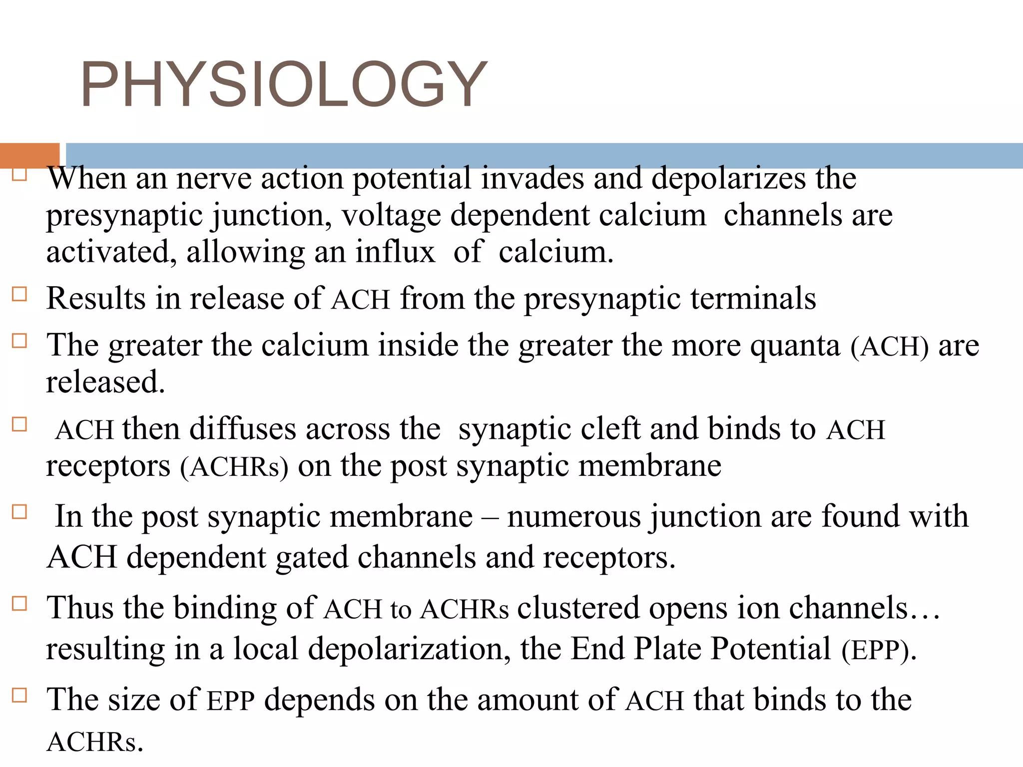PHYSIOLOGY
 When an nerve action potential invades and depolarizes the
presynaptic junction, voltage dependent calcium channels are
activated, allowing an influx of calcium.
 Results in release of ACH from the presynaptic terminals
 The greater the calcium inside the greater the more quanta (ACH) are
released.
 ACH then diffuses across the synaptic cleft and binds to ACH
receptors (ACHRs) on the post synaptic membrane
 In the post synaptic membrane – numerous junction are found with
ACH dependent gated channels and receptors.
 Thus the binding of ACH to ACHRs clustered opens ion channels…
resulting in a local depolarization, the End Plate Potential (EPP).
 The size of EPP depends on the amount of ACH that binds to the
ACHRs.
 