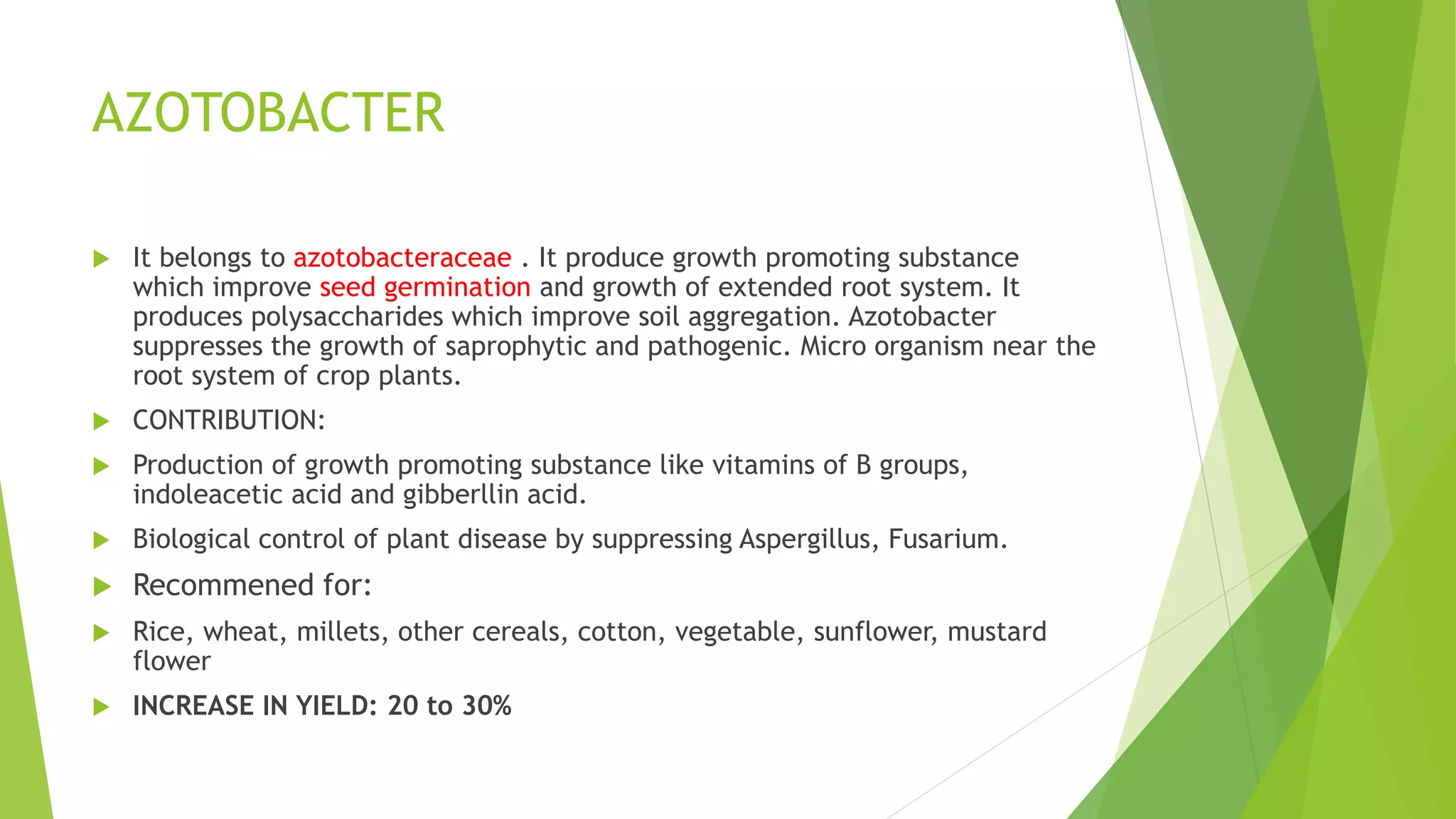 AZOTOBACTER
 It belongs to azotobacteraceae . It produce growth promoting substance
which improve seed germination and growth of extended root system. It
produces polysaccharides which improve soil aggregation. Azotobacter
suppresses the growth of saprophytic and pathogenic. Micro organism near the
root system of crop plants.
 CONTRIBUTION:
 Production of growth promoting substance like vitamins of B groups,
indoleacetic acid and gibberllin acid.
 Biological control of plant disease by suppressing Aspergillus, Fusarium.
 Recommened for:
 Rice, wheat, millets, other cereals, cotton, vegetable, sunflower, mustard
flower
 INCREASE IN YIELD: 20 to 30%
 