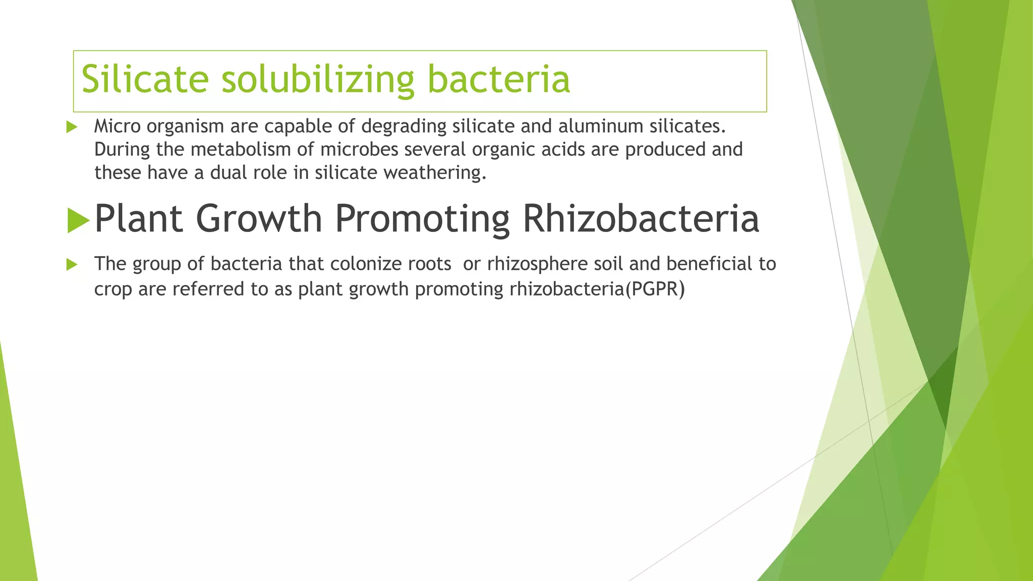 Silicate solubilizing bacteria
 Micro organism are capable of degrading silicate and aluminum silicates.
During the metabolism of microbes several organic acids are produced and
these have a dual role in silicate weathering.
Plant Growth Promoting Rhizobacteria
 The group of bacteria that colonize roots or rhizosphere soil and beneficial to
crop are referred to as plant growth promoting rhizobacteria(PGPR)
 
