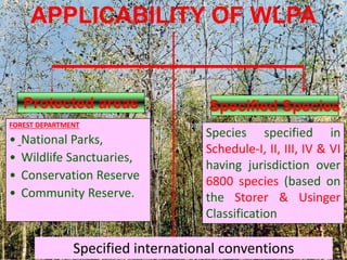 APPLICABILITY OF WLPA
Protected areas
FOREST DEPARTMENT
• National Parks,
• Wildlife Sanctuaries,
• Conservation Reserve
• Community Reserve.
Species specified in
Schedule-I, II, III, IV & VI
having jurisdiction over
6800 species (based on
the Storer & Usinger
Classification
Specified Species
Specified international conventions
 