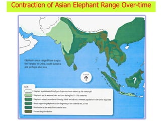 Contraction of Asian Elephant Range Over-time
 