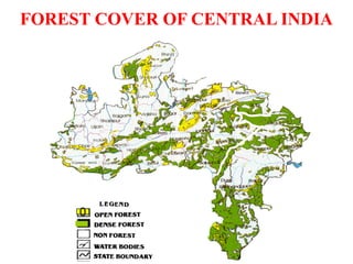 0
FOREST COVER OF CENTRAL INDIA
 