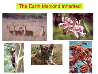 The Earth Mankind Inherited
 