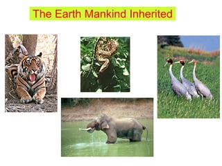 The Earth Mankind Inherited
 