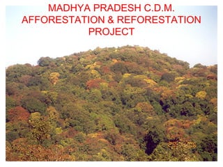 MADHYA PRADESH C.D.M.
AFFORESTATION & REFORESTATION
PROJECT
 
