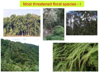 Most threatened floral species - I
 