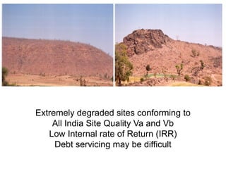 Extremely degraded sites conforming to
All India Site Quality Va and Vb
Low Internal rate of Return (IRR)
Debt servicing may be difficult
 