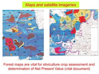 Maps and satellite imageries
Forest maps are vital for silviculture crop assessment and
determination of Net Present Value (vital document)
 