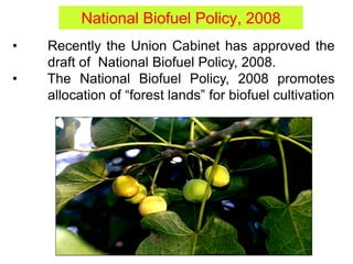 National Biofuel Policy, 2008
• Recently the Union Cabinet has approved the
draft of National Biofuel Policy, 2008.
• The National Biofuel Policy, 2008 promotes
allocation of “forest lands” for biofuel cultivation
 