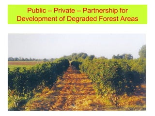 Public – Private – Partnership for
Development of Degraded Forest Areas
 