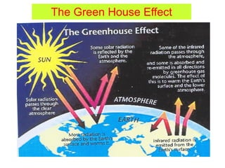 The Green House Effect
 