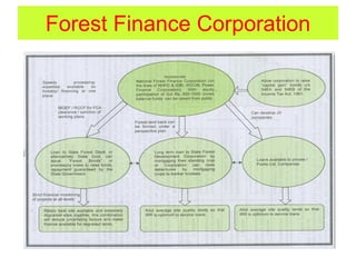 Forest Finance Corporation
 
