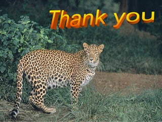 RNS State Action Plan on Climate Change EPCO_forest_cc_20.09.2018