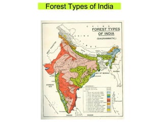 Forest Types of India
 