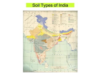 Soil Types of India
 