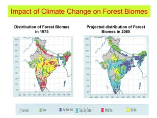 Impact of Climate Change on Forest Biomes
Distribution of Forest Biomes
in 1975
Projected distribution of Forest
Biomes in 2085
 