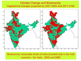 Biodiversity Vulnerable Grids of India (marked red) in the A1B
scenario – for India - 2035 and 2085
Climate Change and Biodiversity
Vegetational changes projected by 2021-2050 and 2071-2100
 