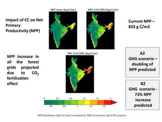 NPP distribution (kgC/m2/year) simulated by IBIS for baseline and A1B scenarios
Impact of CC on Net
Primary
Productivity (NPP)
Current NPP –
835 g C/m3
A2
GHG scenario –
doubling of
NPP predicted
B2
GHG scenario -
73% NPP
increase
predicted
NPP Increase in
all the forest
grids projected
due to CO2
fertilisation
effect
 