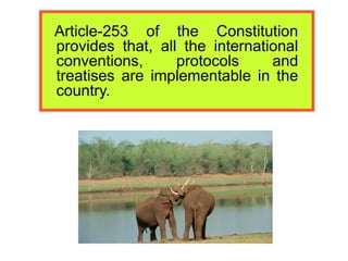 Article-253 of the Constitution
provides that, all the international
conventions, protocols and
treatises are implementable in the
country.
 