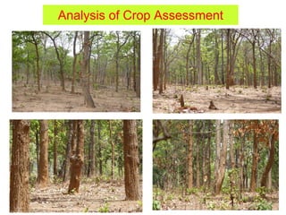 Analysis of Crop Assessment
 