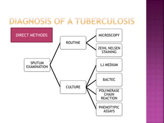 SPUTUM
EXAMINATION
ROUTINE
MICROSCOPY
ZEIHL NELSEN
STAINING
CULTURE
LJ MEDIUM
BACTEC
POLYMERASE
CHAIN
REACTION
PHENOTYPIC
ASSAYS
DIRECT METHODS
 