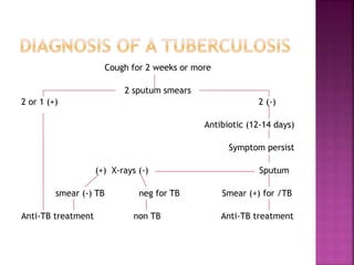 Cough for 2 weeks or more
2 sputum smears
2 or 1 (+) 2 (-)
Antibiotic (12-14 days)
Symptom persist
(+) X-rays (-) Sputum
smear (-) TB neg for TB Smear (+) for /TB
Anti-TB treatment non TB Anti-TB treatment
 