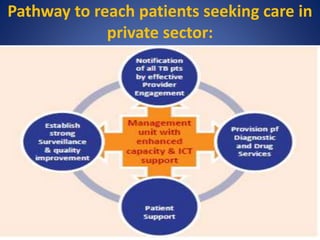 Pathway to reach patients seeking care in
private sector:
 