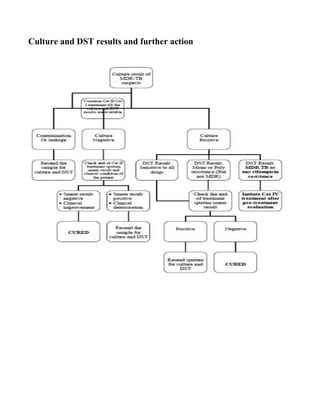 Culture and DST results and further action
 