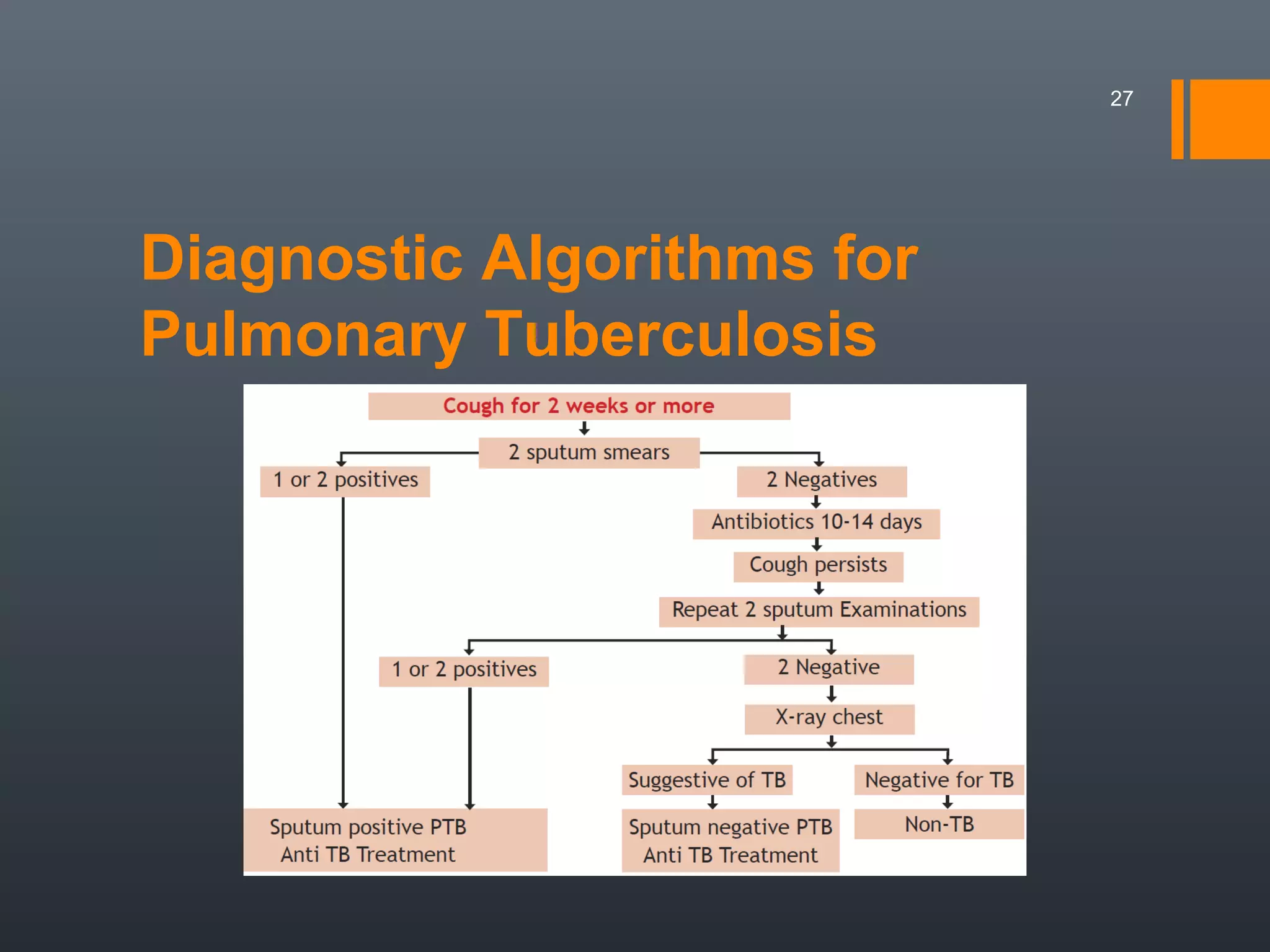 Diagnostic Algorithms for
Pulmonary Tuberculosis
27
 