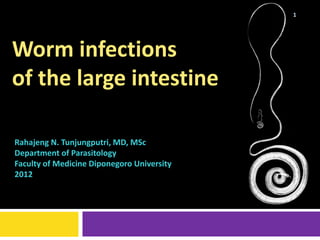 1




Worm infections
of the large intestine

Rahajeng N. Tunjungputri, MD, MSc
Department of Parasitology
Faculty of Medicine Diponegoro University
2012
 