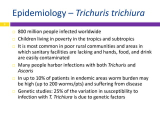 Epidemiology – Trichuris trichiura
3


       800 million people infected worldwide
       Children living in poverty in...