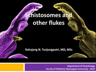 Schistosomes and
   other flukes



Rahajeng N. Tunjungputri, MD, MSc




                                   Department of Parasitology
              Faculty of Medicine Diponegoro University - 2012
 