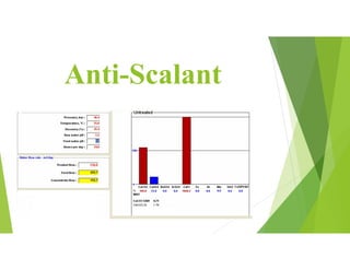 Anti-Scalant
 