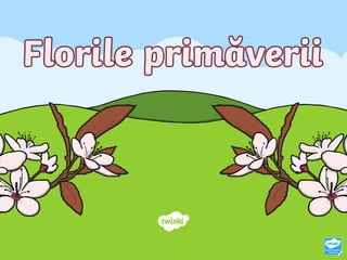 ro-t-t-2545797-flori-de-primavara-powerpoint (1).ppt